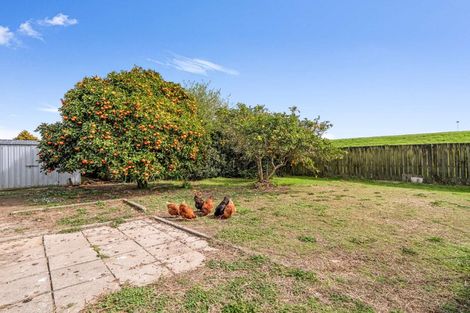 Photo of property in 70 Henderson Street, Whakatane, 3120