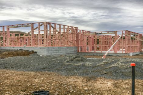 Photo of property in 124 John Burke Drive, Aotea, Porirua, 5024