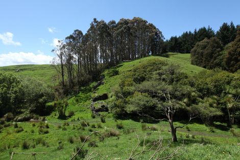 Photo of property in 182 Ohautira Road, Raglan, 3295