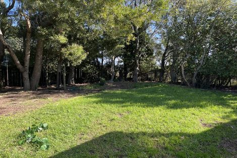 Photo of property in 9 Thompson Tonga Road, Pukekawa, Tuakau, 2696