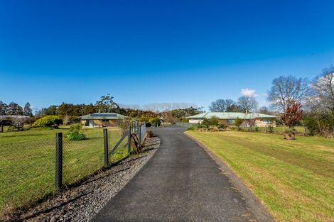 Photo of property in 1284 Dairy Flat Highway, Dairy Flat, Albany, 0794