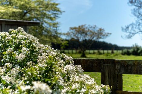 Photo of property in 157 Perrys Road, East Taratahi, Masterton, 5887
