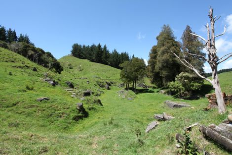 Photo of property in 182 Ohautira Road, Raglan, 3295