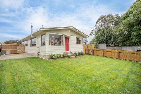 Photo of property in 48 Amberley Avenue, Westbrook, Palmerston North, 4412