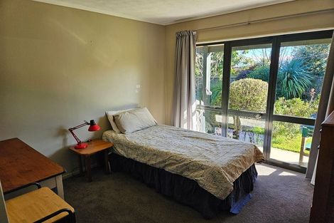 Photo of property in 22a Mchardy Street, Havelock North, 4130