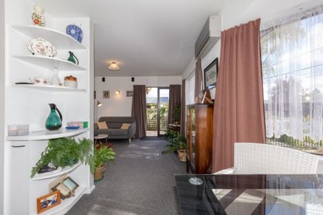 Photo of property in 80 Diamond Avenue, Spreydon, Christchurch, 8024