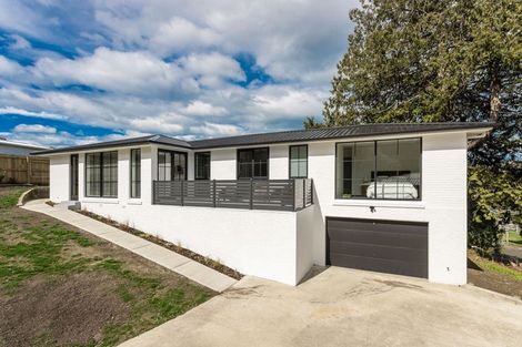 Photo of property in 207 Taieri Road, Kaikorai, Dunedin, 9010