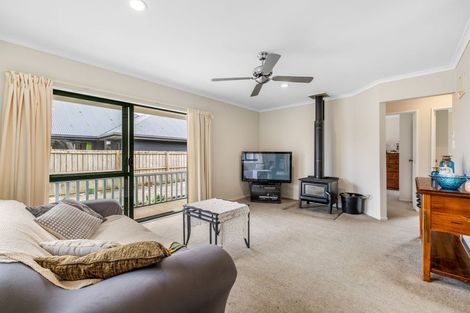 Photo of property in 20 Park Avenue, Oxford, 7430