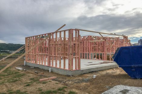 Photo of property in 124 John Burke Drive, Aotea, Porirua, 5024