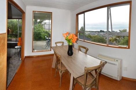Photo of property in 12a Coney Hill Road, Saint Clair, Dunedin, 9012
