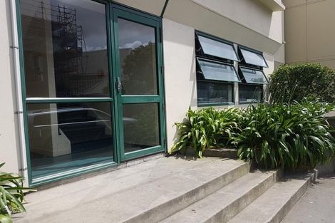 Photo of property in Te Awhina Apartments, 19/22 Sussex Street, Mount Cook, Wellington, 6021