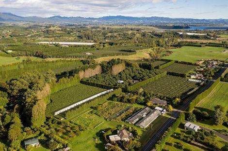 Photo of property in 39 Prole Road, Omokoroa, Tauranga, 3172