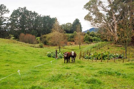 Photo of property in 399 Scotts Road, Linton, Palmerston North, 4472