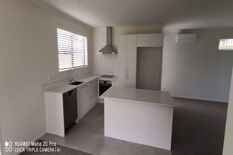 Photo of property in 138a Lisle Farm Drive, Pukekohe, 2120