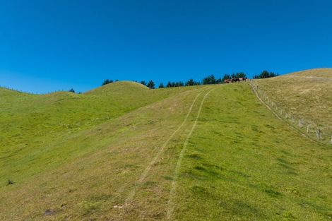 Photo of property in 363 Caseys Road, Lake Grassmere, Seddon, 7285