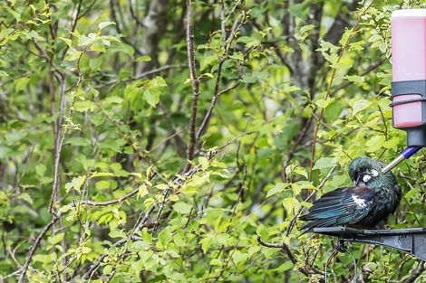 Photo of property in 22 The Bollard, Whitby, Porirua, 5024