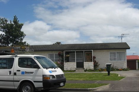 Photo of property in 151 Finlayson Avenue, Clendon Park, Auckland, 2103