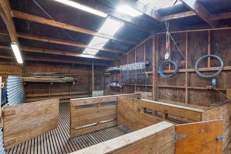 Photo of property in 79 Beaver Road, Pukekohe East, Pukekohe, 2677