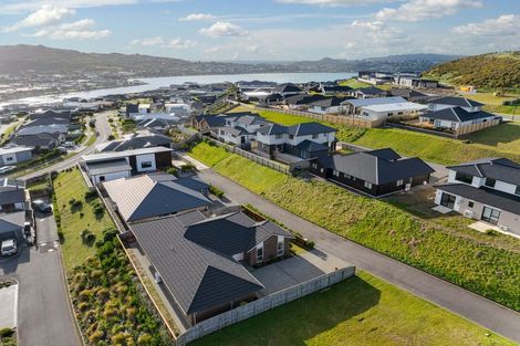 Photo of property in 167 John Burke Drive, Aotea, Porirua, 5024
