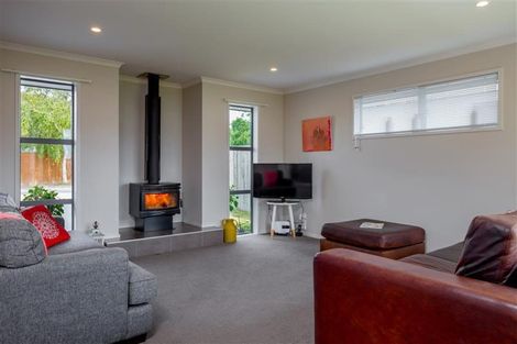 Photo of property in 13 Kirk Street, Renwick, 7204