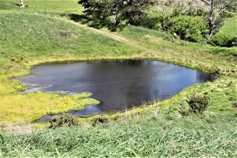 Photo of property in 248 Kanohi Road, Kaukapakapa, 0873