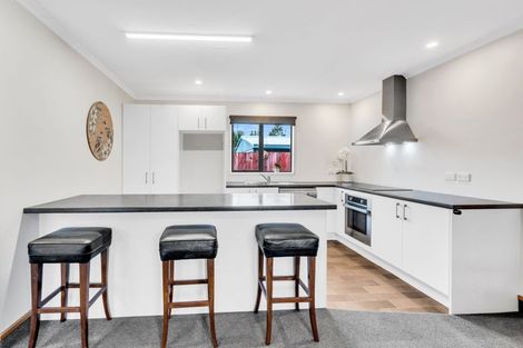 Photo of property in 38a Spaxton Street, Methven, 7730