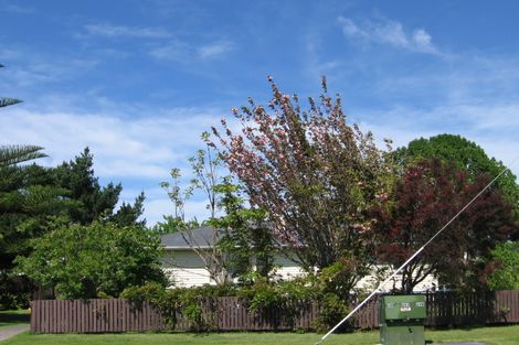 Photo of property in 12 Scott Street, Elgin, Gisborne, 4010