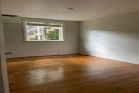 Photo of property in 1/117 Crummer Road, Grey Lynn, Auckland, 1021