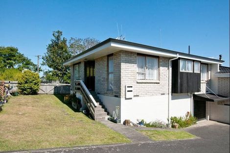 Photo of property in 172a Ngatai Road, Otumoetai, Tauranga, 3110