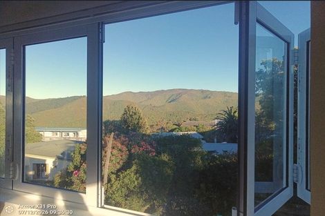 Photo of property in 164 The Ridgeway, Mornington, Wellington, 6021