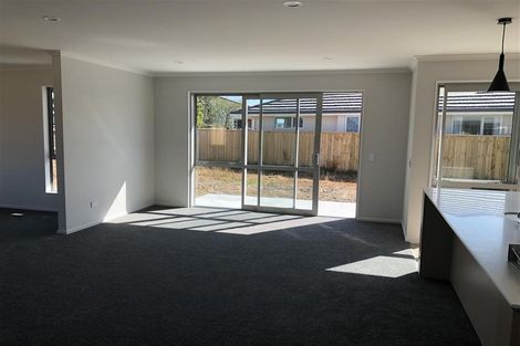 Photo of property in 20 Malone Crescent, Richmond, 7020