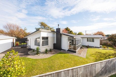 Photo of property in 147 Stanford Street North, Ashhurst, 4810