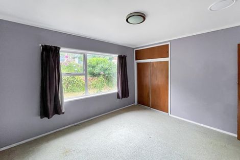 Photo of property in 47 Aurora Terrace, Hillcrest, Hamilton, 3216