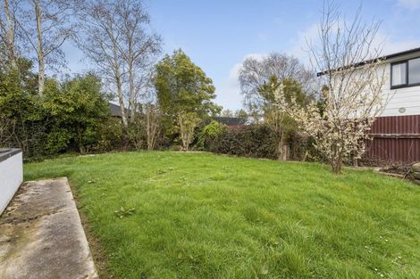 Photo of property in 117 Lamond Street, Hargest, Invercargill, 9810