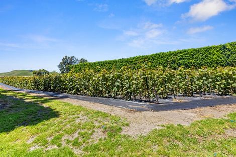 Photo of property in 1568a Old Coach Road, Pukehina, 3186