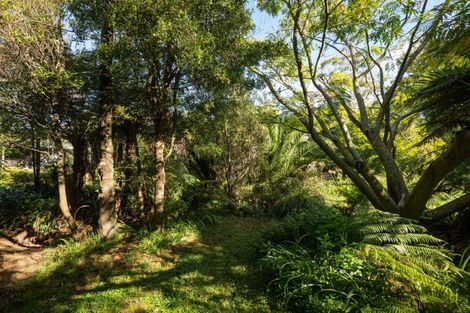 Photo of property in 17 Princes Street, Waikino, Waihi, 3682