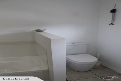 Photo of property in 143 Waimate North Road, Kerikeri, 0293