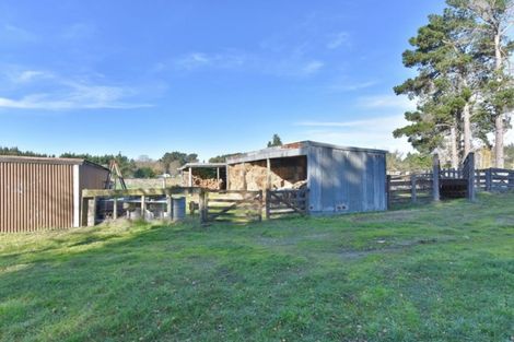 Photo of property in 38 Woodend Beach Road, Woodend Beach, Kaiapoi, 7691