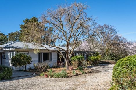 Photo of property in 328 Purchas Road, Glasnevin, Amberley, 7482