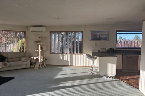 Photo of property in 13 Dawson Douglas Place, Kaiapoi, 7630