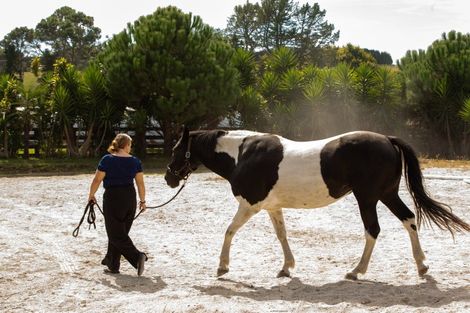 Photo of property in 126 Willoughby Road, Tahawai, Katikati, 3170