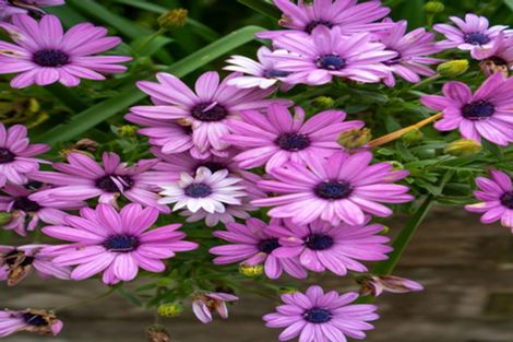 Photo of property in 8 Grace Avenue, Leamington, Cambridge, 3432