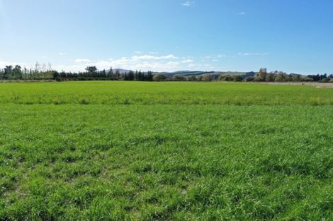 Photo of property in 216 Reserve Road, Balcairn, Amberley, 7481