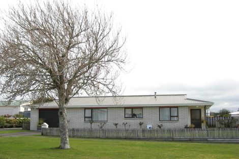 Photo of property in 45a Portia Street, Stratford, 4332