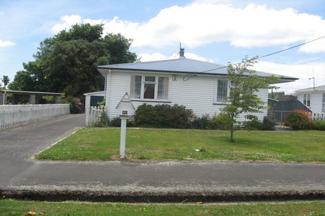 Photo of property in 45 Wakeman Street, Pahiatua, 4910