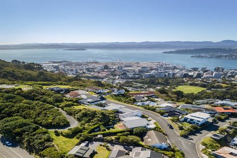 Photo of property in 3 Puketiro Avenue, Northland, Wellington, 6012