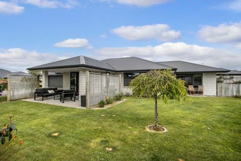 Photo of property in 11 Nolan Place, Katikati, 3129