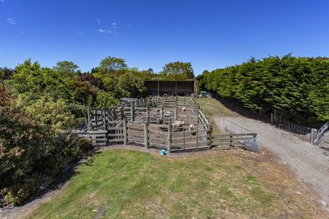 Photo of property in 642 Oxford Road, Fernside, Rangiora, 7471