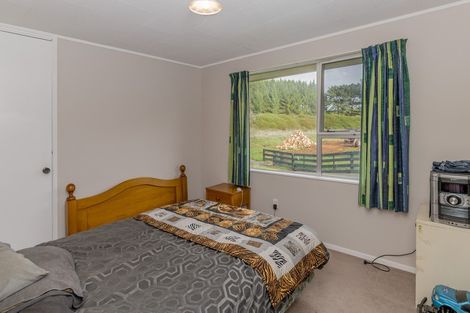 Photo of property in 500 Foxton Shannon Road, Foxton, 4893