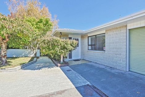Photo of property in 11a Campbell Street, Havelock North, 4130